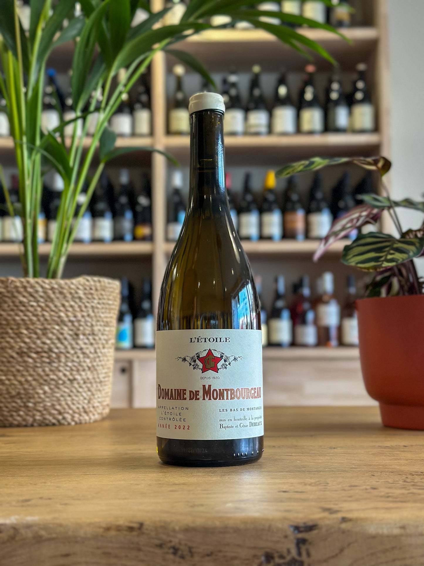 L'Étoile - Domaine de Montbourgeau - Les Bas de Montangis 2022