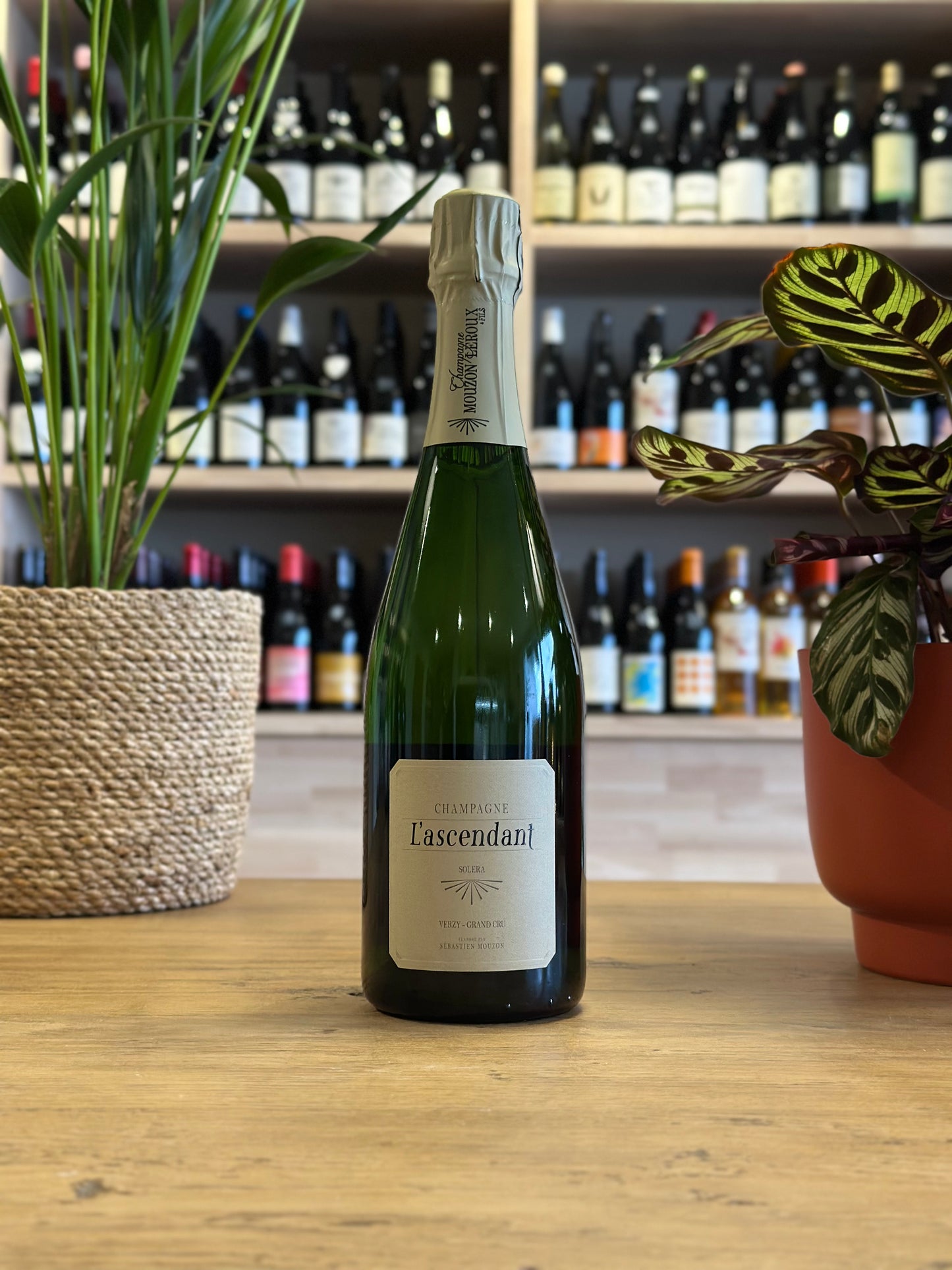 Champagne Grand Cru - Mouzon-Leroux - l'Ascendant - Brut Nature