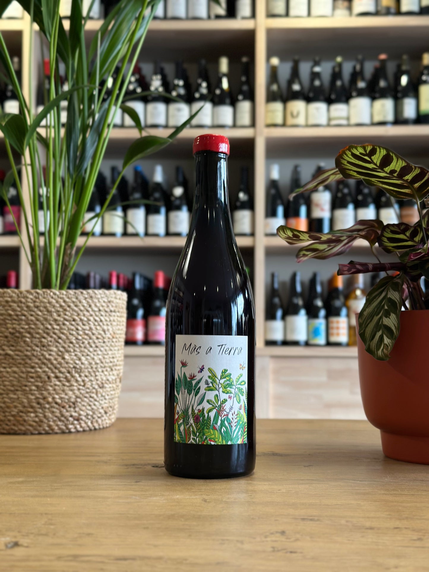 Coteaux Bourguignons - Domaine La Petite Empreinte - Mas A Tierra