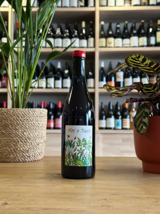 Coteaux Bourguignons - Domaine La Petite Empreinte - Mas A Tierra