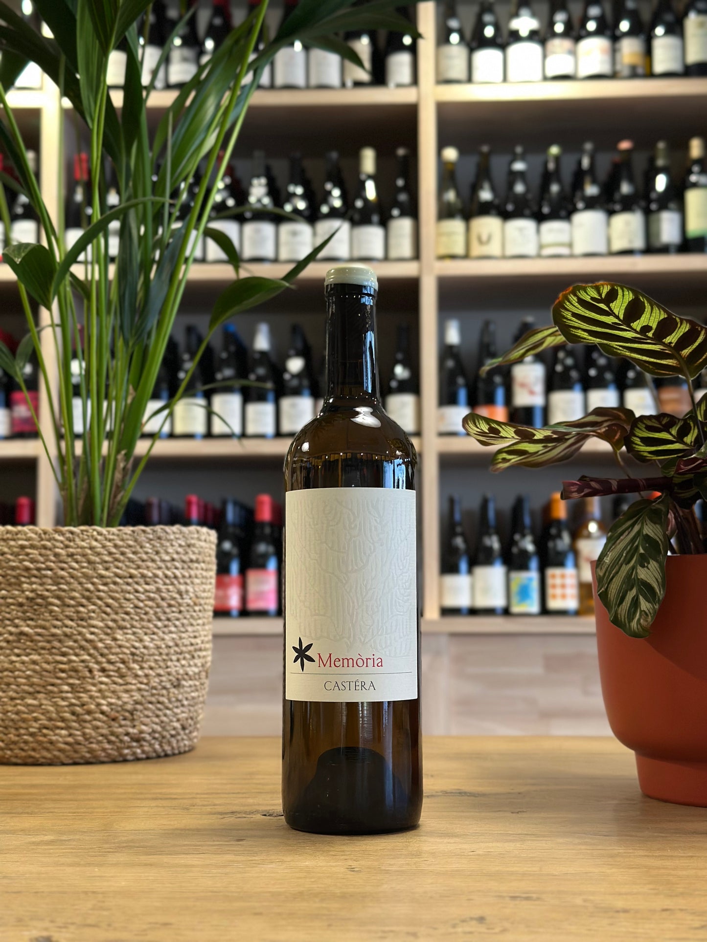 Vin de France - Domaine Castéra - Mémoria 2024