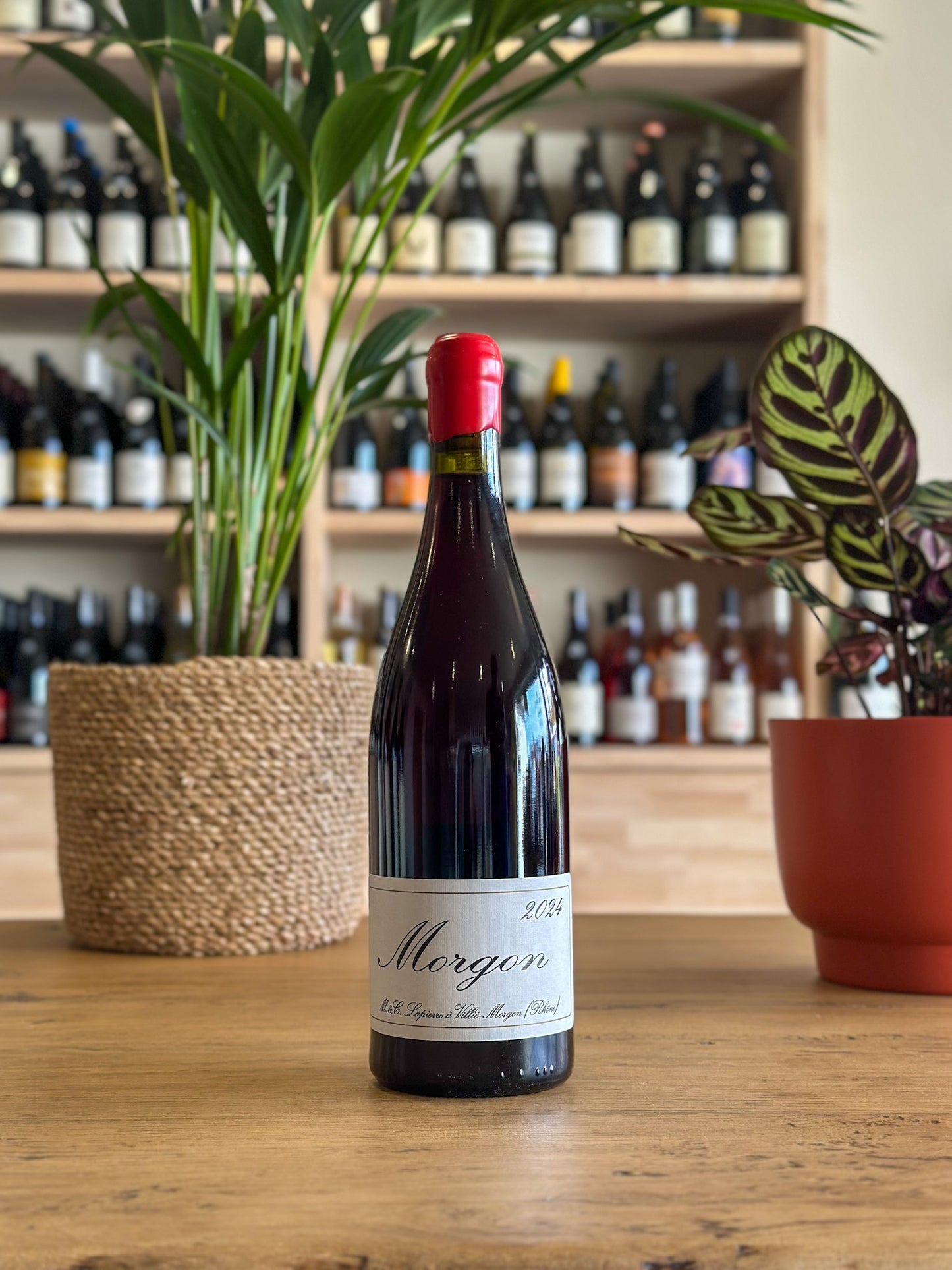 Morgon - Domaine Marcel Lapierre - Vielles Vignes 2024