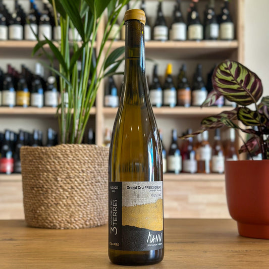 Riesling Grand Cru Pfersigberg 2022 - Domaine Sébastien Mann