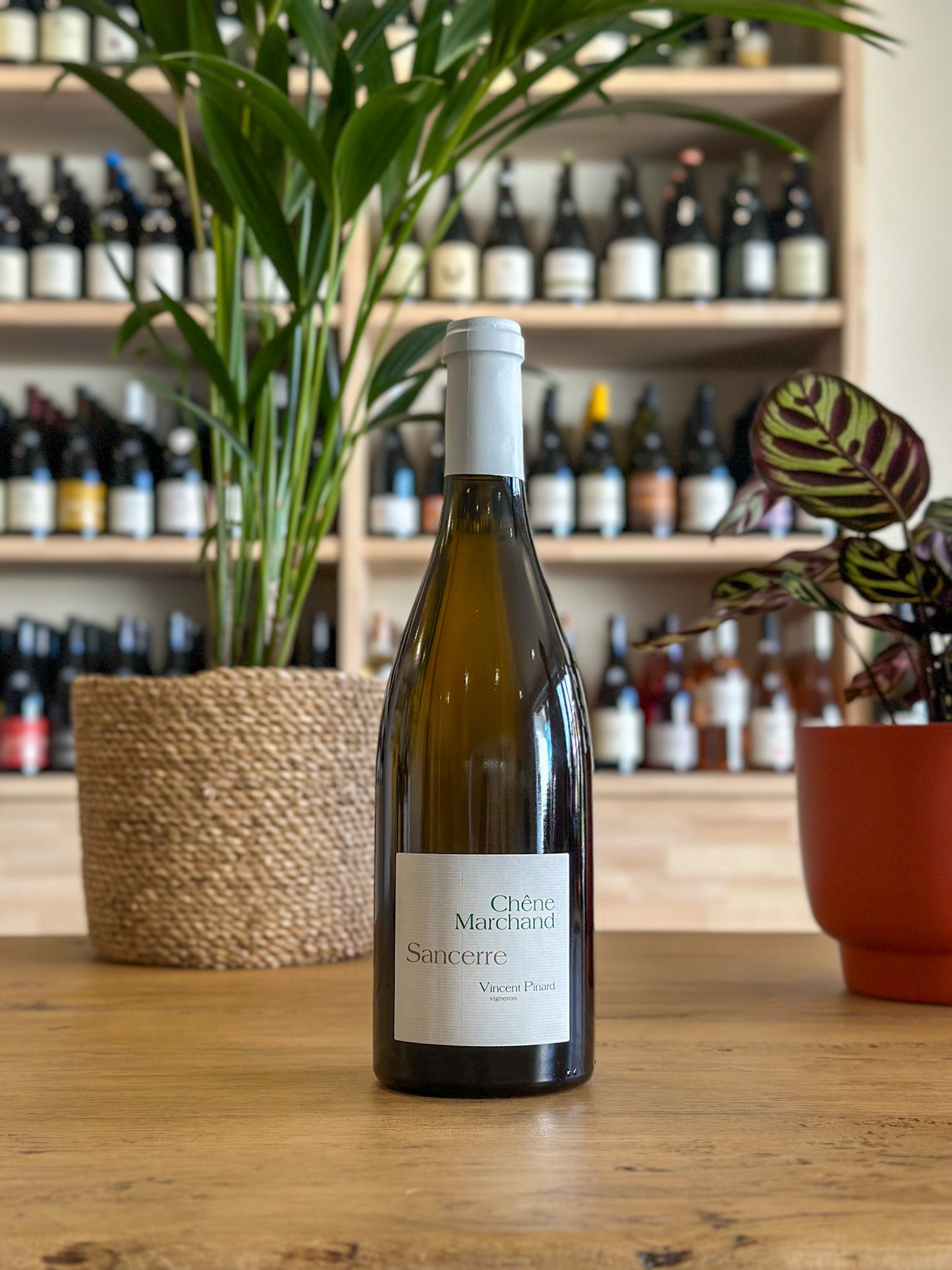 Sancerre - Domaine Vincent Pinard - Chêne Marchand 2020