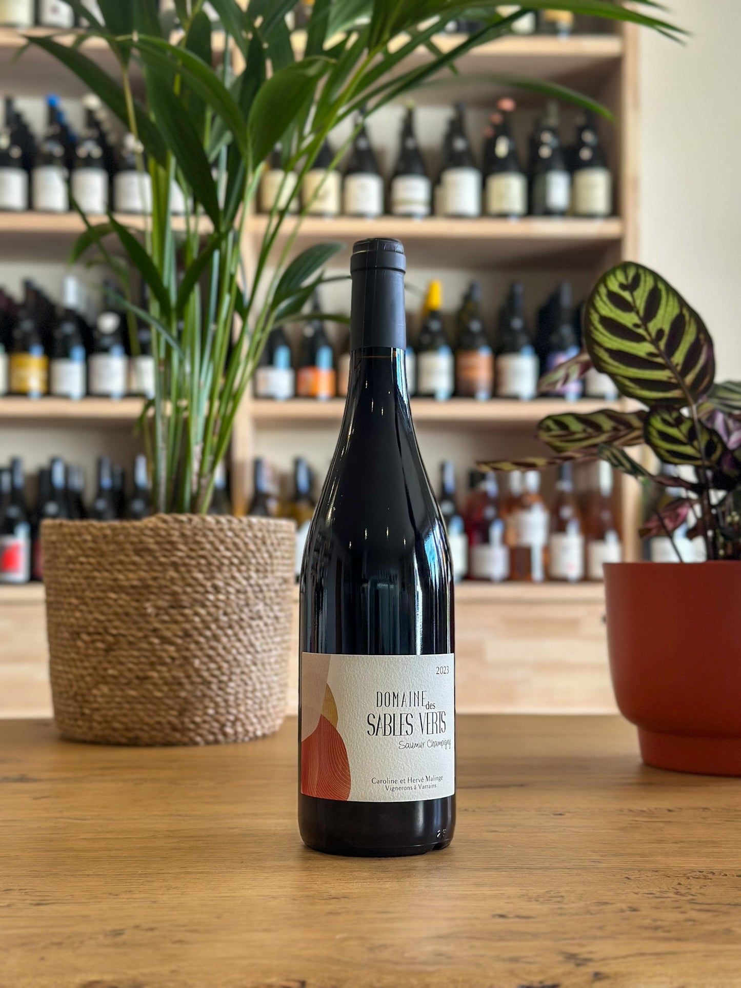 Saumur-Champigny - Domaine des Sables Verts 2023