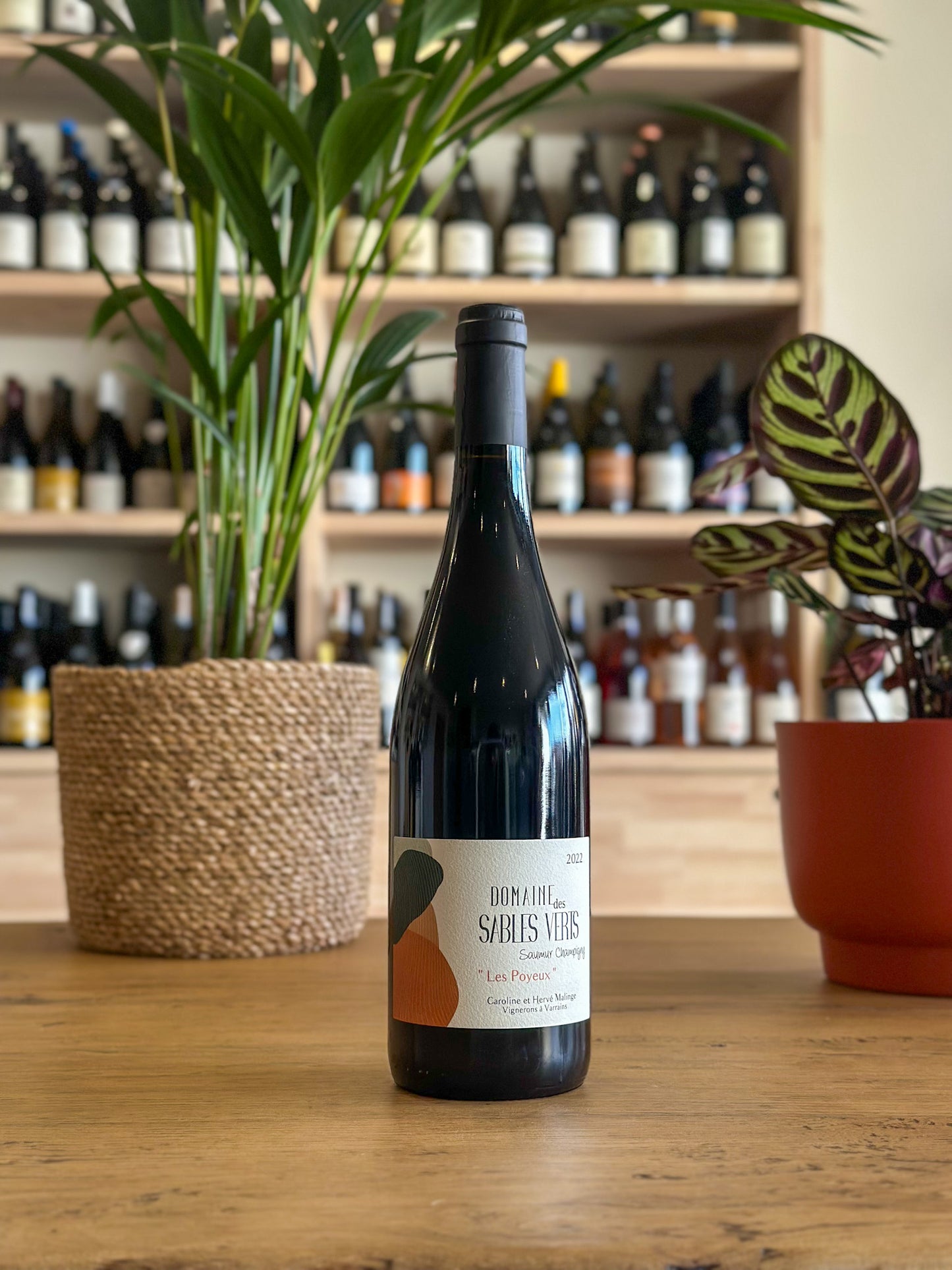 Saumur-Champigny - Domaine des Sables Verts - Les Poyeux 2022