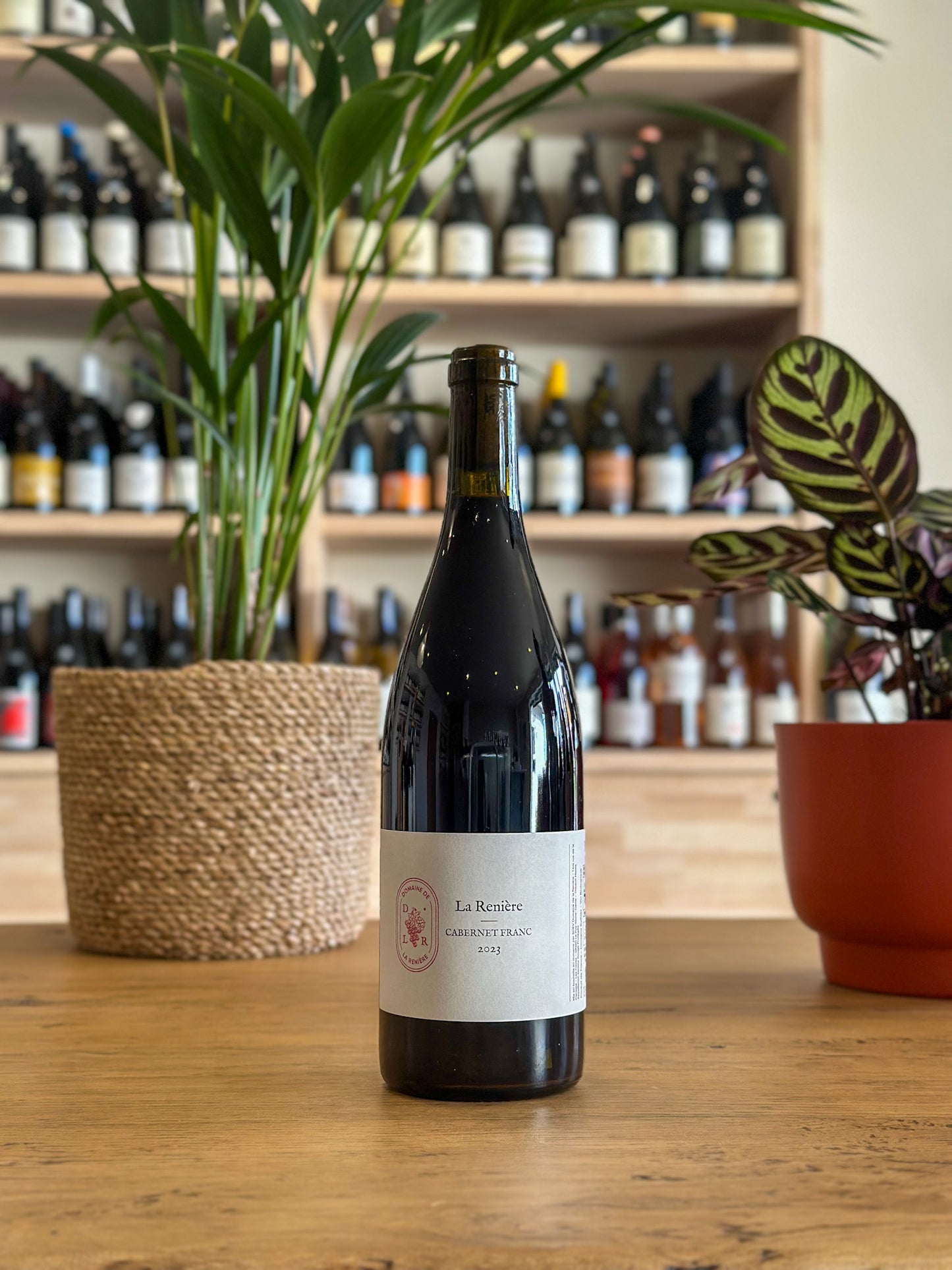 Saumur - Domaine de la Renière - La Renière 2023