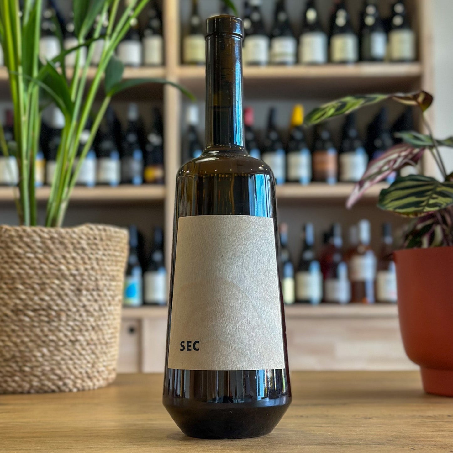 Sec 2024 - Le Vindicateur - Vin de France