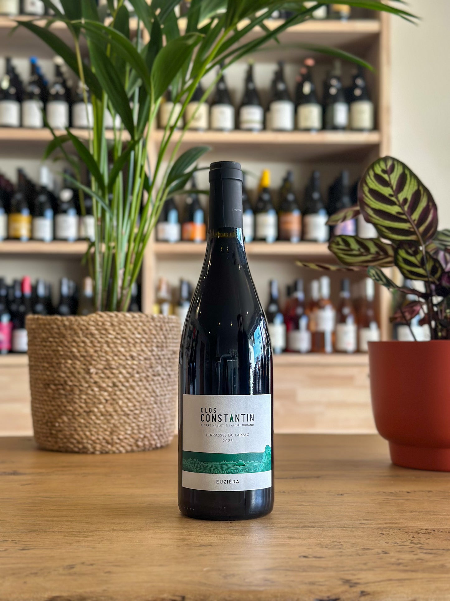 Terrasses du Larzac - Clos Constantin - Euziéra 2023