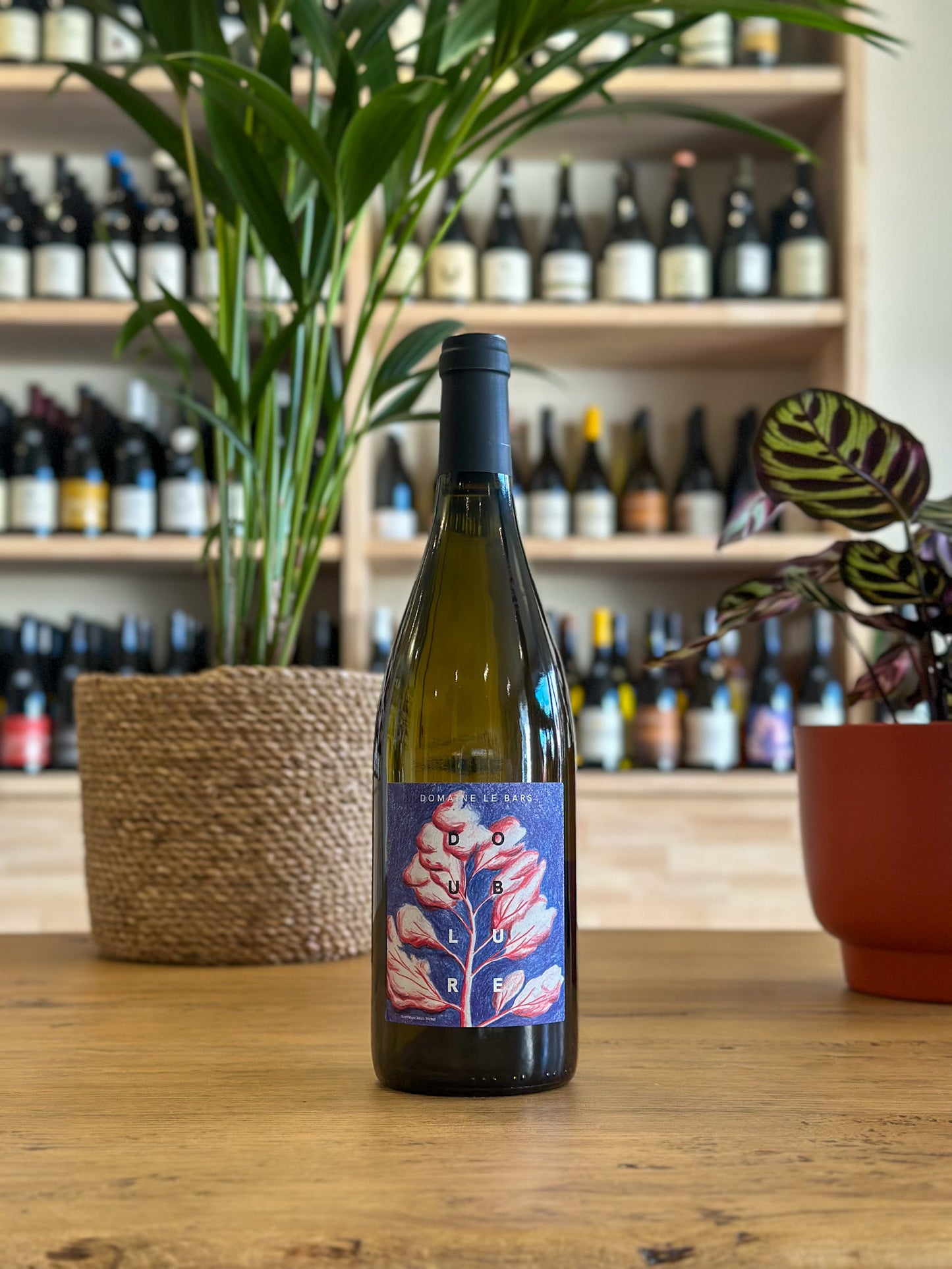 Vin de Pays du Var - Gwennaëlle Le Bars - Doublure 2024