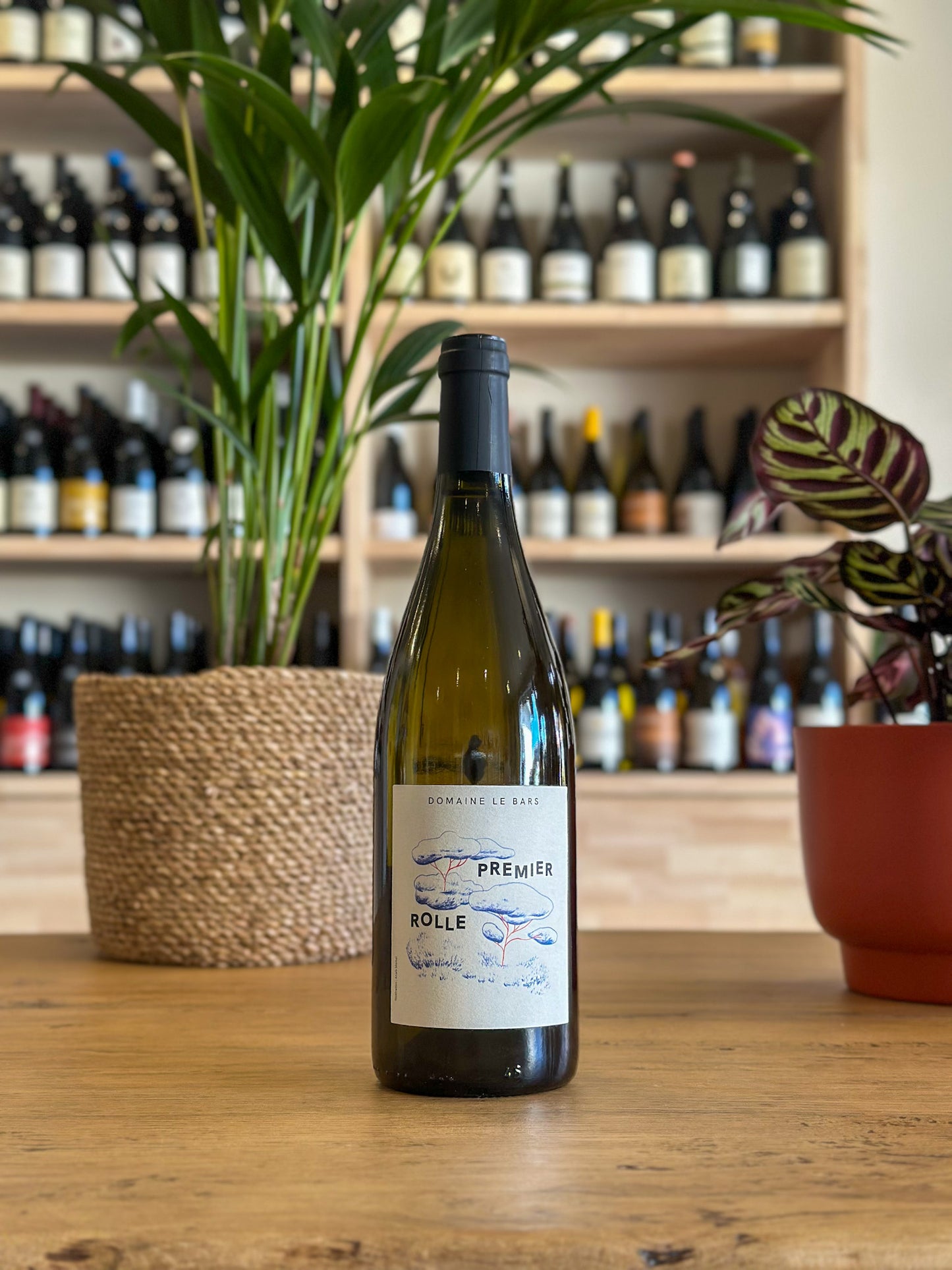 Vin de Pays du Var - Gwennaëlle Le Bars - Premier Rolle 2024