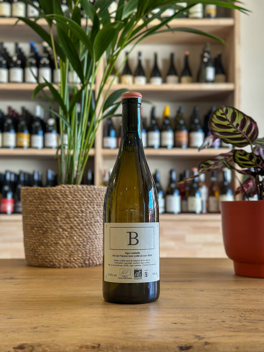 Vin de France - Ugo Lestelle - B 2023