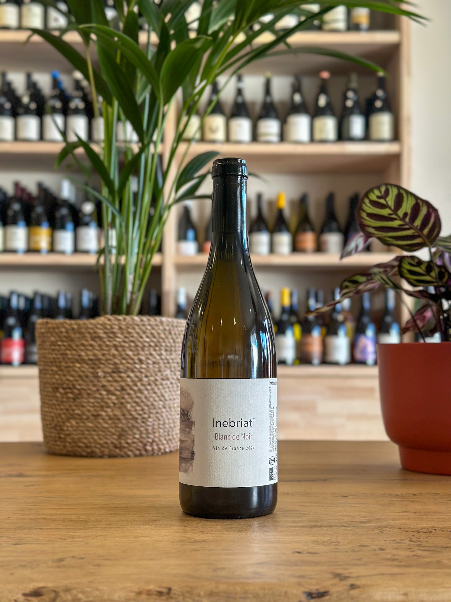 Vin de France - Domaine Inebriati - Blanc de Noir 2024