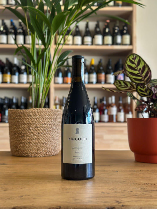 Irouleguy - Domaine Goienetxea - Xingolei 2022